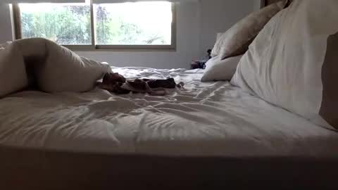 ppsmall_17 online show from March 27, 2026, 11:10 am