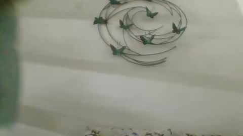 Snapshot of praveen100797 chatting on October 2, 2025, 11:17 am praveen100797 online show from October 2, 2025, 11:17 am