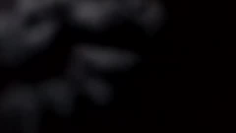 pretty_boy_jack online show from February 28, 2025, 10:52 am