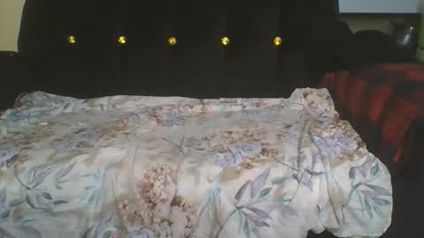 doll online show from November 19, 2025, 8:42 pm