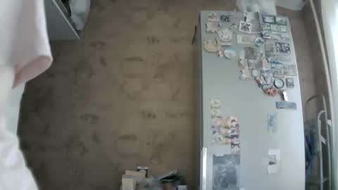 Bella online show from May 27, 2026, 5:26 am