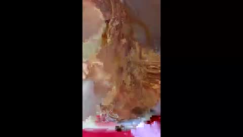 prettymoneychaser online show from April 17, 2026, 8:12 pm