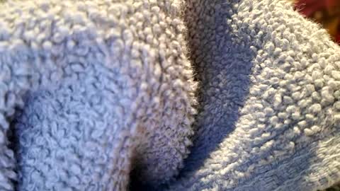 PrettyPrick4U online show from January 22, 2025, 1:42 pm