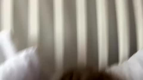 Snapshot of prettypxssyyy chatting on September 27, 2025, 8:36 pm Prettiestpussy online show from September 27, 2025, 8:36 pm
