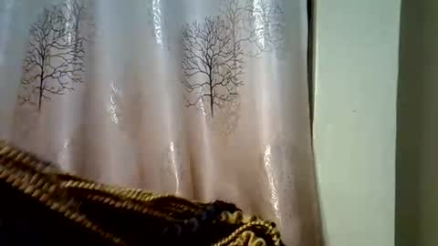 Snapshot of prettyshasha_ chatting on September 20, 2025, 4:19 pm prettyshasha_ online show from September 20, 2025, 4:19 pm