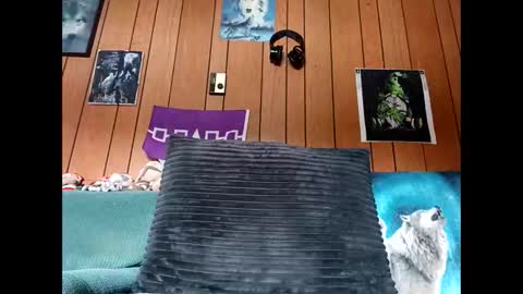 Snapshot of prettysolid7 chatting on October 13, 2025, 1:11 pm prettysolid7 online show from October 13, 2025, 1:11 pm