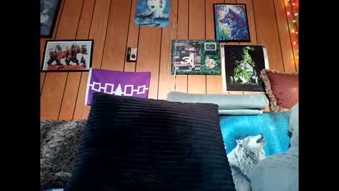 prettysolid7 online show from February 15, 2026, 12:58 pm