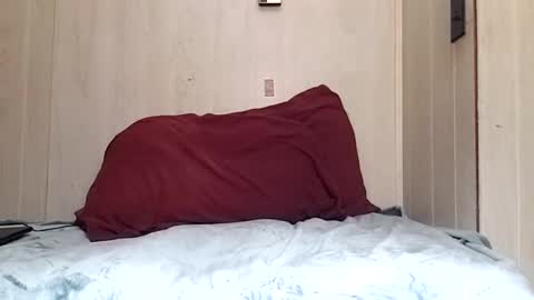 prettysolidd7 online show from December 2, 2024, 8:52 am