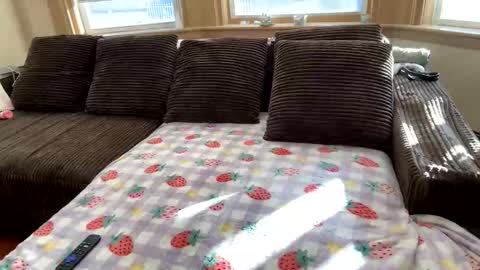 Princess Arii online show from December 5, 2025, 7:43 pm