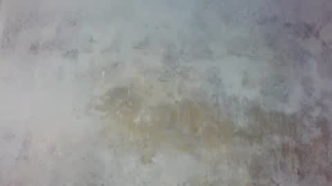 Prince edi online show from May 25, 2026, 2:45 pm