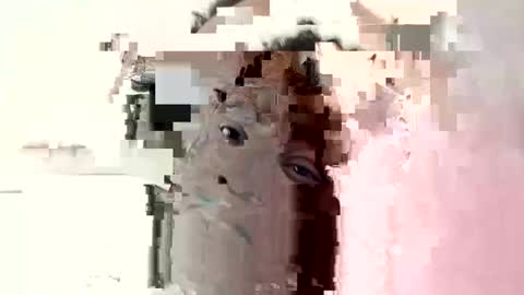 Princess Asshole online show from October 6, 2025, 10:45 am