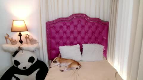 Snapshot of princessyanzy chatting on September 13, 2025, 5:57 pm princessyanzy1 online show from September 13, 2025, 5:57 pm