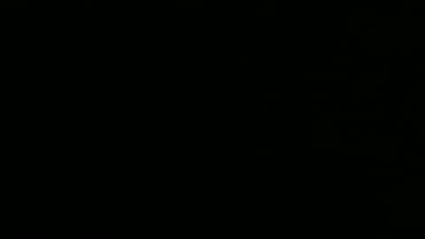 privinicy online show from February 1, 2026, 3:10 pm