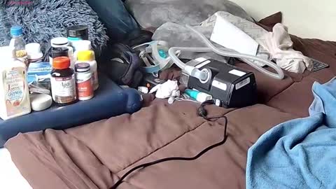 Probardetodo independent model online show from January 9, 2026, 6:31 pm