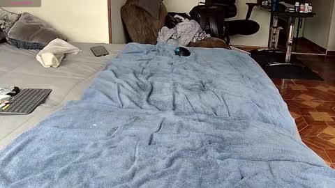 Snapshot of probardetodo chatting on February 1, 2026, 1:42 pm Probardetodo independent model online show from February 1, 2026, 1:42 pm