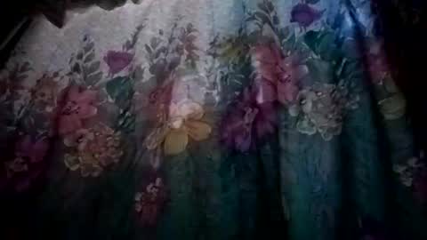 Snapshot of prvive2025 chatting on October 5, 2025, 7:34 pm prvive2025 online show from October 5, 2025, 7:34 pm