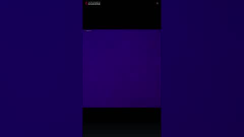 puddled_wonderland online show from February 6, 2026, 8:51 am