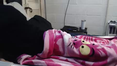 Snapshot of puff0169 chatting on March 15, 2026, 3:56 am puff0169 online show from March 15, 2026, 3:56 am