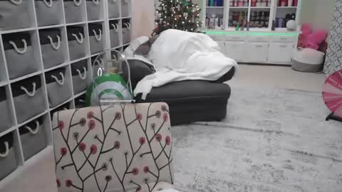 Puggie -  online show from December 14, 2024, 11:01 pm