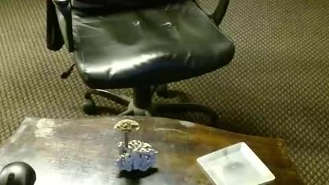 Snapshot of punkypapi chatting on October 16, 2025, 9:27 pm Jojo online show from October 16, 2025, 9:27 pm