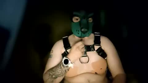 Pup Kori online show from June 8, 2026, 6:14 am