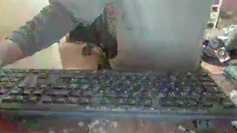 pup_y online show from December 14, 2025, 6:56 pm