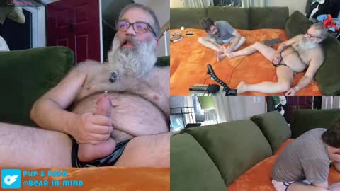 Pup And Papa bear online show from May 23, 2026, 1:44 am