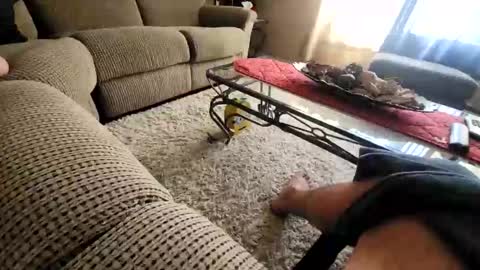 Snapshot of purdyguy7777 chatting on March 20, 2026, 7:52 pm purdyguy7777 online show from March 20, 2026, 7:52 pm