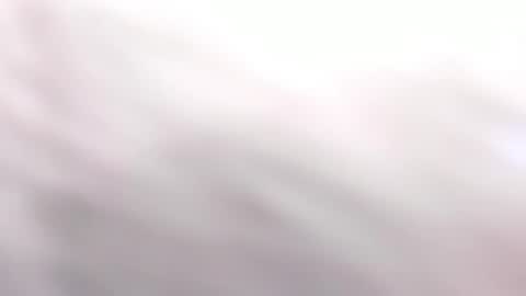   online show from March 6, 2025, 6:05 pm