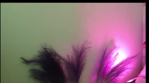 Queen Rosee  online show from February 25, 2026, 8:07 pm