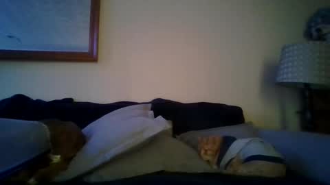 queenbee6269 online show from February 6, 2025, 5:51 pm