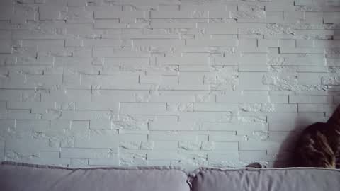 Snapshot of queenofmodels chatting on November 17, 2025, 6:08 am QueenOfModels online show from November 17, 2025, 6:08 am