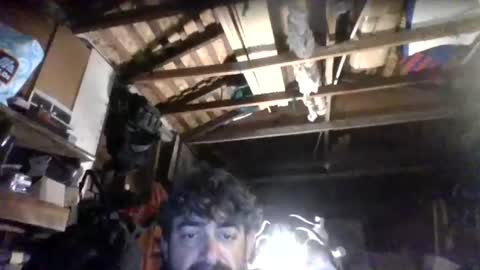 questfor38883 online show from July 24, 2026, 3:37 am