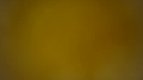 quinnxx online show from February 26, 2026, 7:51 am