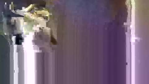 Snapshot of r04233054 chatting on January 10, 2026, 8:16 am r04233054 online show from January 10, 2026, 8:16 am