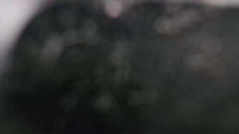 Dmitry online show from March 11, 2025, 7:58 pm