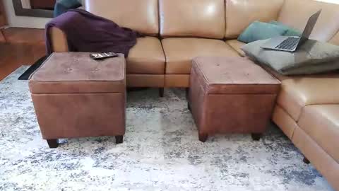 DressSock Shoe online show from February 7, 2026, 2:59 am