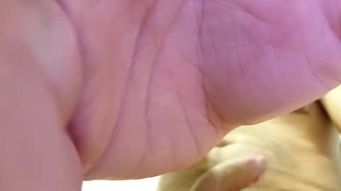 raidehot online show from October 21, 2025, 11:44 am