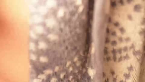 Rami online show from February 17, 2025, 4:42 am