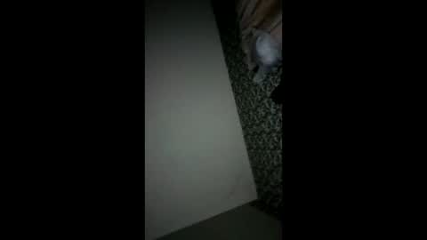 Snapshot of randallcody15 chatting on October 6, 2025, 11:24 pm randallcody15 online show from October 6, 2025, 11:24 pm