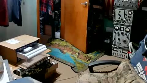 Randall online show from September 10, 2025, 1:44 pm