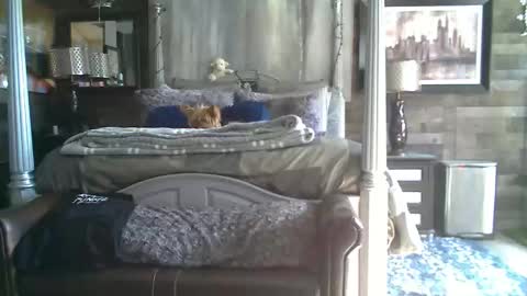 Snapshot of randybater8in chatting on January 18, 2026, 8:12 pm Randy8inbater online show from January 18, 2026, 8:12 pm