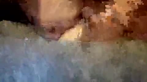 rap0707598343 online show from March 28, 2026, 2:44 am