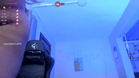 Snapshot of raven_storm chatting on December 17, 2024, 4:34 am Ester online show from December 17, 2024, 4:34 am