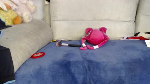 Ray  online show from January 8, 2026, 6:32 pm