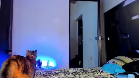 Rayn online show from September 28, 2025, 9:42 pm