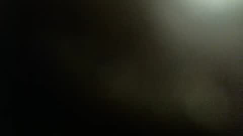 Snapshot of rdyforitall chatting on December 10, 2024, 1:32 am Mr Nice online show from December 10, 2024, 1:32 am