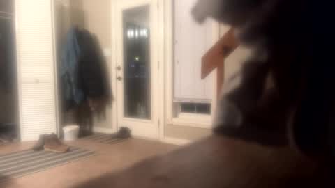 Snapshot of rdyforitall chatting on December 10, 2024, 6:22 am Mr Nice online show from December 10, 2024, 6:22 am