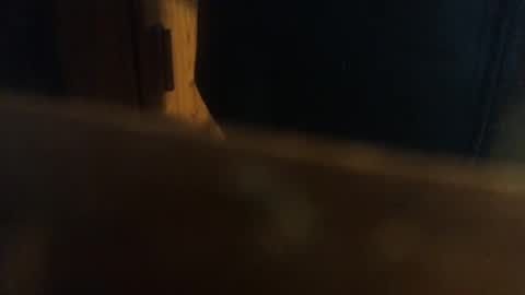 Snapshot of rdyforitall chatting on January 4, 2025, 1:21 am Mr Nice online show from January 4, 2025, 1:21 am