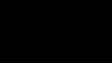 Snapshot of rdyforitall chatting on January 6, 2025, 9:52 am Mr Nice online show from January 6, 2025, 9:52 am